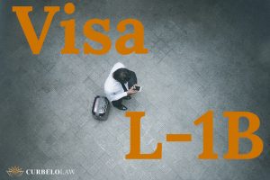 proceso de visa l-1b