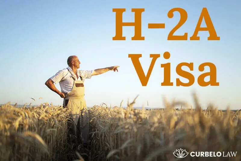 ✓ H-2A visa program benefits in 2026 - Get them | Curbelo Law